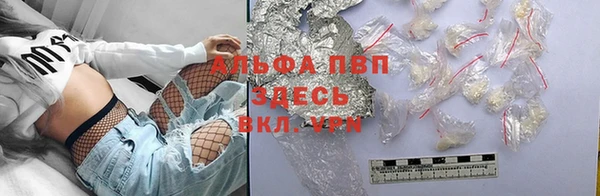 молекула духа Арсеньев
