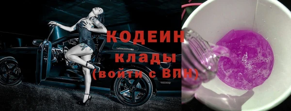 молекула духа Арсеньев