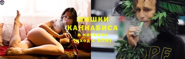молекула духа Арсеньев