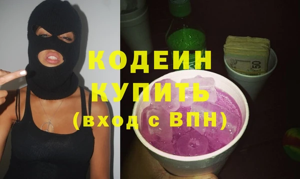 молекула духа Арсеньев