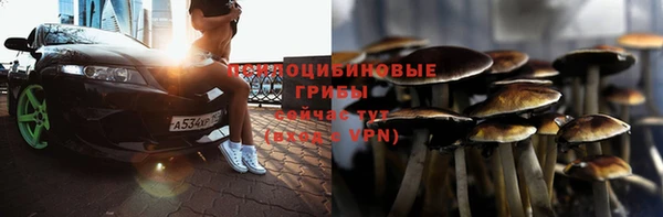 молекула духа Арсеньев