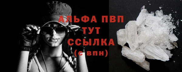 молекула духа Арсеньев