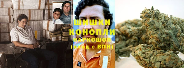 молекула духа Арсеньев