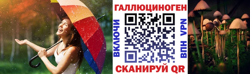 Галлюциногенные грибы Psilocybe цены наркотик Соль-Илецк